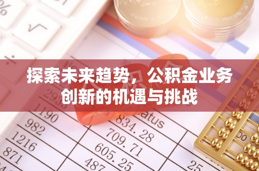 海拉尔探索未来趋势，公积金业务创新的机遇与挑战
