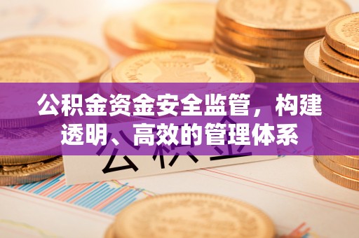 海拉尔公积金资金安全监管，构建透明、高效的管理体系