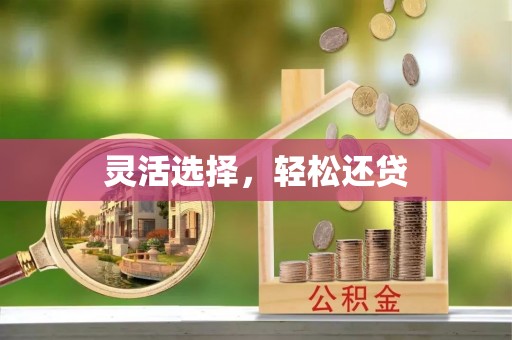 海拉尔灵活选择，轻松还贷