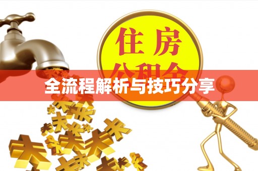 海拉尔全流程解析与技巧分享